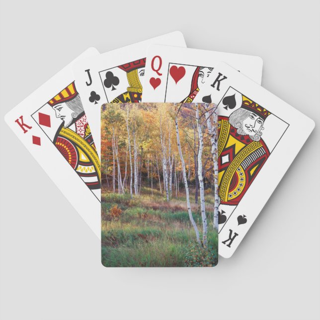 Maine, Acadia National Park, Höst Casinokort (Baksidan)