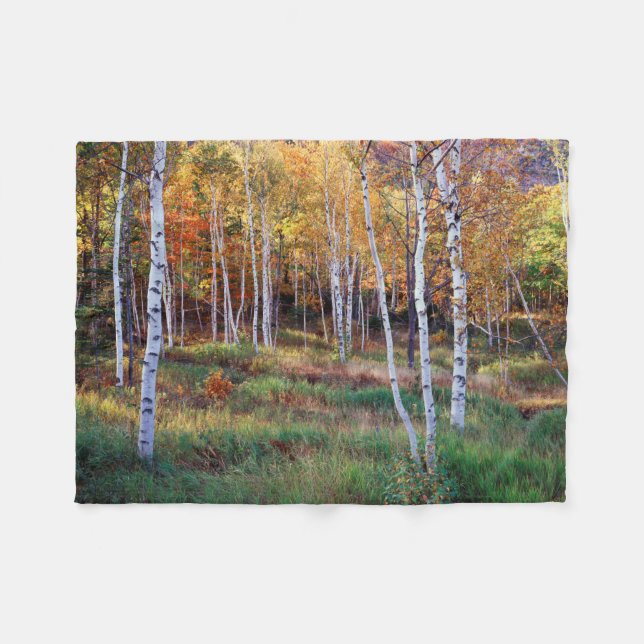 Maine, Acadia National Park, Höst Fleecefilt (Framsidan (Horisontell))