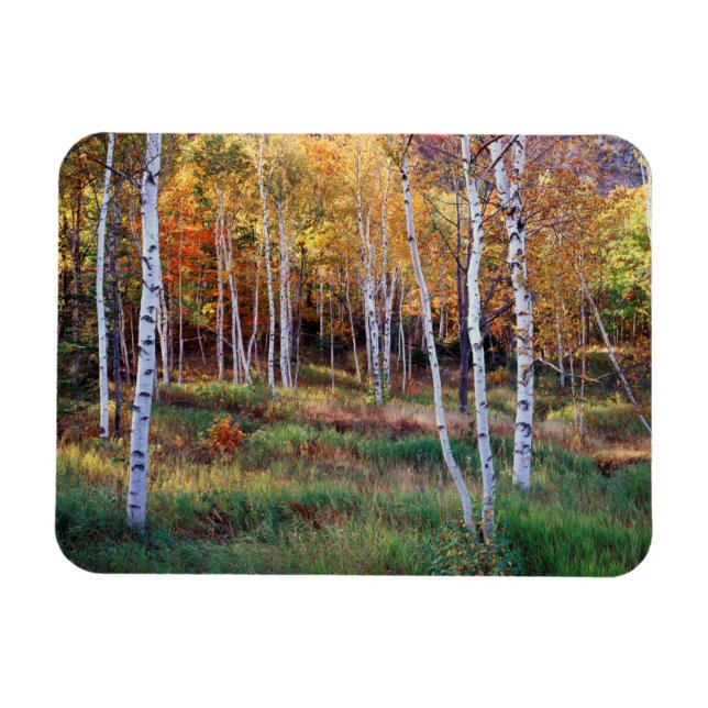 Maine, Acadia National Park, Höst Magnet (Horisontell)