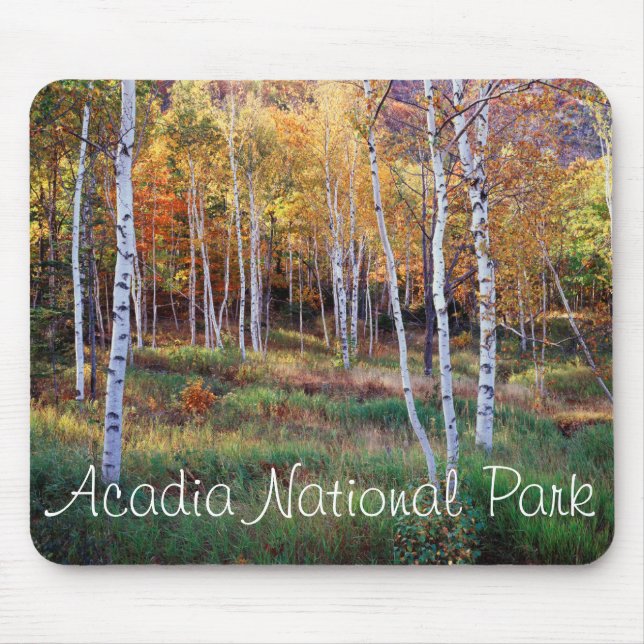 Maine, Acadia National Park, Höst Musmatta (Framsidan)