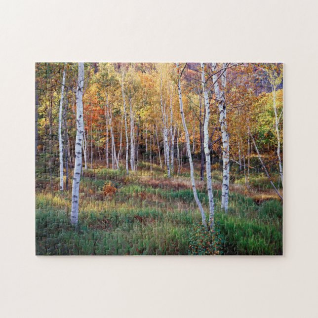 Maine, Acadia National Park, Höst Pussel (Horisontell)