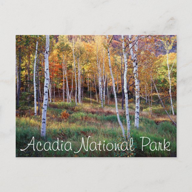 Maine, Acadia National Park, Höst Vykort (Framsida)