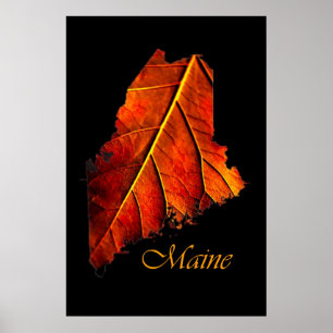 Maine Autumn Orange Löv Maine Fall Foliage Poster