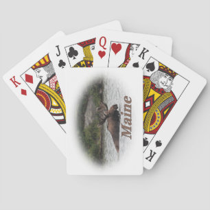 Maine Bull Moose Casinokort