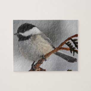 Maine Chickadee Pussel