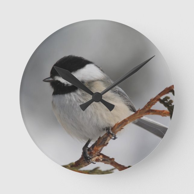 Maine Chickadee Rund Klocka (Framsida)