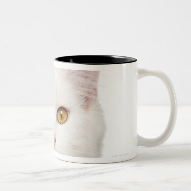 Maine Coon (8 gammala månader) 2 Två-Tonad Mugg (Höger)