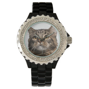 Maine Coon (8 gammala månader) Armbandsur