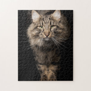 Maine Coon big cat Pussel