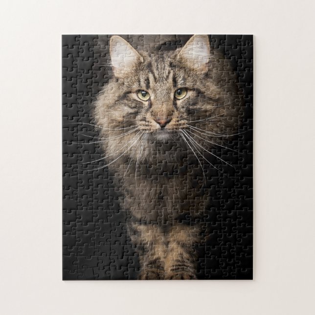 Maine Coon big cat Pussel (Vertikal)
