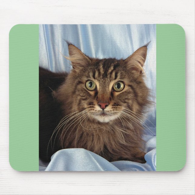 Maine Coon, brun tabby Musmatta (Framsidan)