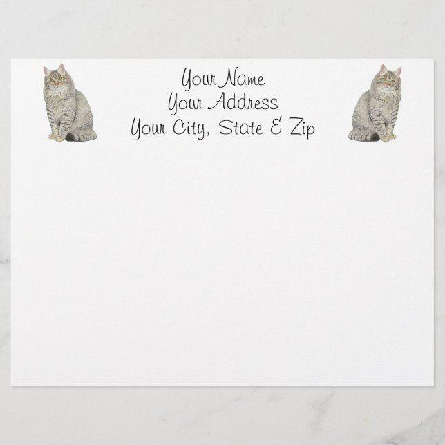 Maine Coon Cat (Framsida)