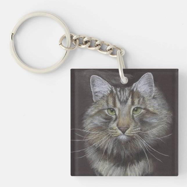 Maine Coon Cat (Framsidan)