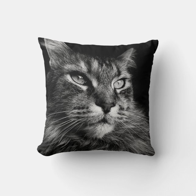 Maine Coon Cat 16 x 16 Kudde (Framsida)