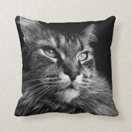 Maine Coon Cat 16 x 16 Kudde