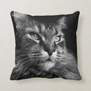Maine Coon Cat 16 x 16 Kudde