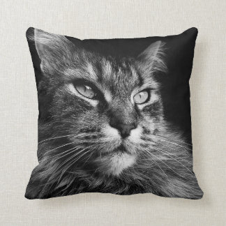Maine Coon Cat 16 x 16 Kudde