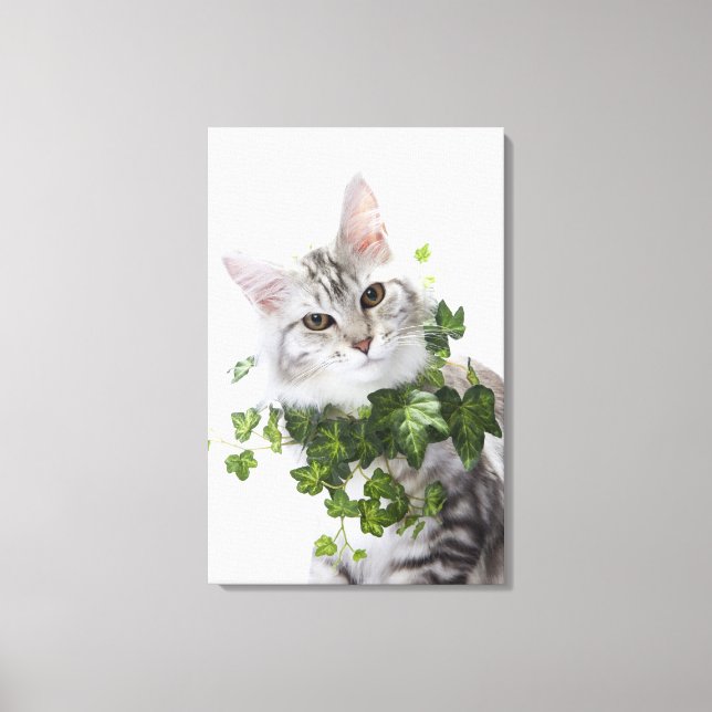 Maine Coon cat and ornament of ivy Canvastryck (Framsida)
