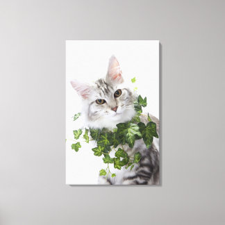 Maine Coon cat and ornament of ivy Canvastryck