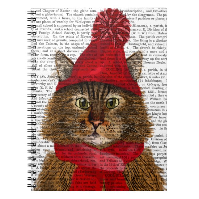 Maine Coon Cat Anteckningsbok Med Spiral (Framsidan)