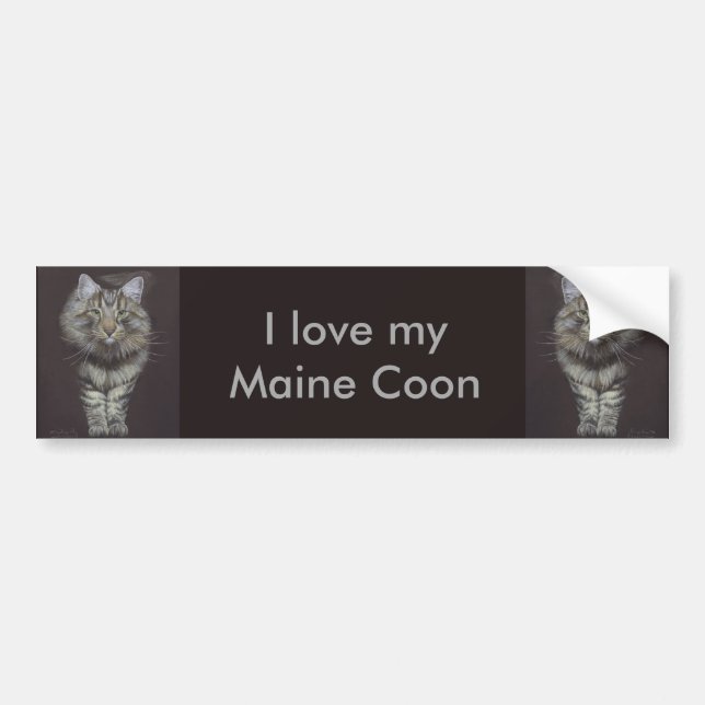Maine Coon Cat Bildekal (Framsidan)