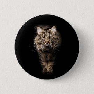 Maine Coon Cat Black Knapp