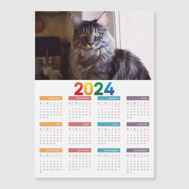 Maine Coon Cat Calendar (Framsida)