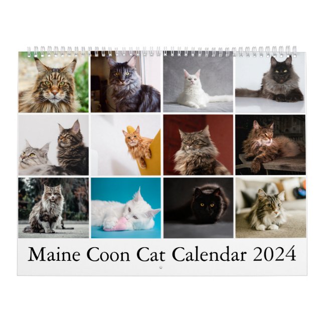 Maine Coon Cat Calendar Kalender (Omslag)