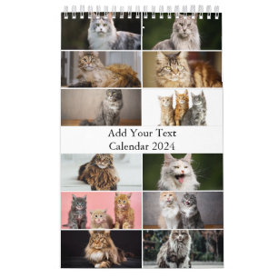 Maine Coon Cat Calendar Kalender