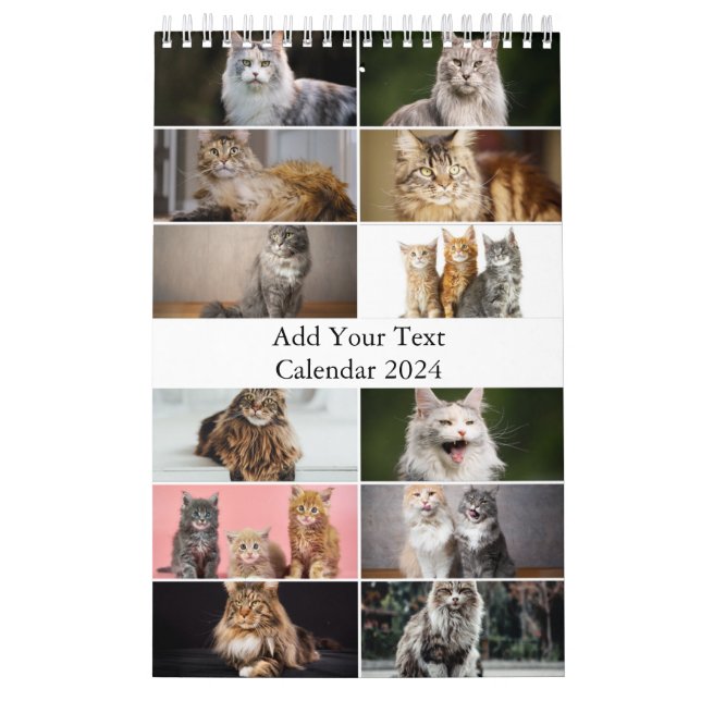 Maine Coon Cat Calendar Kalender (Omslag)