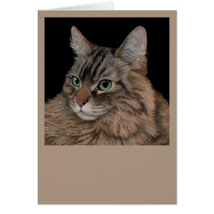 Maine Coon Cat Card OBS Kort