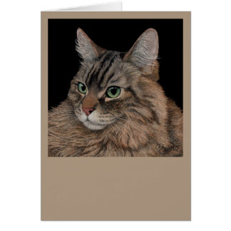 Maine Coon Cat Card OBS Kort
