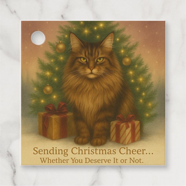 Maine Coon Cat Christmas  | Funny Holiday  Gåvor Etiketter (Framsida)