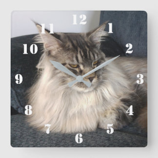 Maine Coon Cat Clock Fyrkantig Klocka