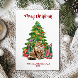 Maine Coon Cat Family jul Julkort