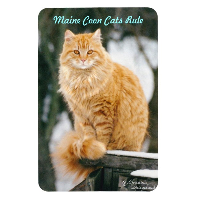 Maine coon cat Flexible Magnet (Vertikal)