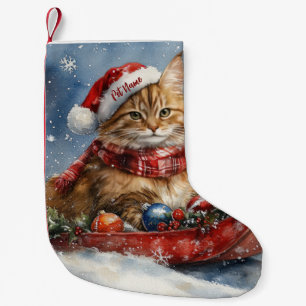 Maine Coon Cat i Sledge Låt det snöa jul Liten Julstrumpa