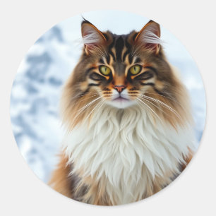 Maine Coon Cat i Snowy Wilderness Porträtt Runt Klistermärke