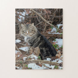Maine Coon Cat in Forest Jigszle Puzzle Pussel