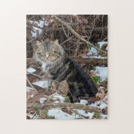 Maine Coon Cat in Forest Jigszle Puzzle Pussel