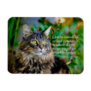 Maine Coon Cat Inspirational Magnet