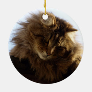 Maine Coon Cat Julgransprydnad Keramik