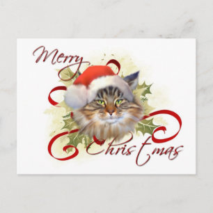 Maine Coon Cat julkort Helg Vykort