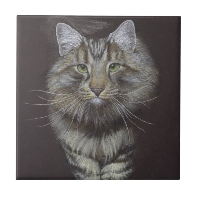 Maine Coon Cat Kakelplatta (Framsidan)