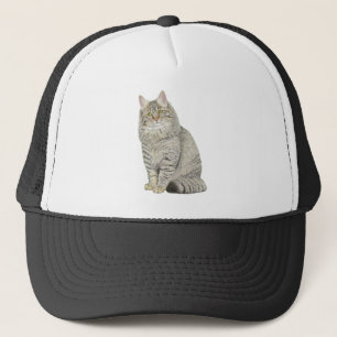 Maine Coon Cat Keps