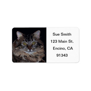 Maine Coon Cat Labels Adressetikett