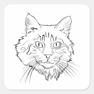Maine Coon Cat Line Art Fyrkantigt Klistermärke