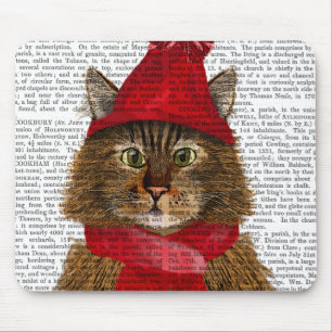 Maine Coon Cat Musmatta