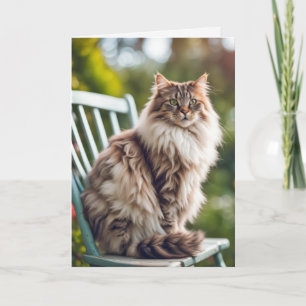 Maine Coon Cat On Ordförande för födelsedag Kort