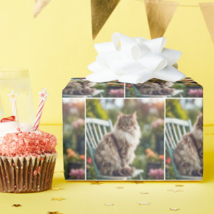 Maine Coon Cat On Ordförande Presentpapper